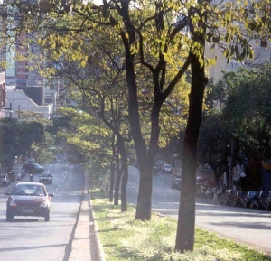 Avenida Contorno